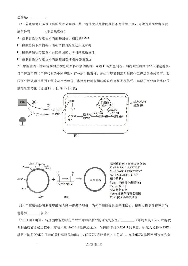 精品解析：广东省江门市2025-2026学年高三上学期调研测试生物试题A（原卷版）_251109广东省江门市2025-2026学年高三上学期11月调研测试（全科）