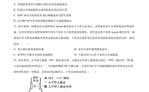 精品解析：广东省江门市2025-2026学年高三上学期调研测试生物试题A（原卷版）_251109广东省江门市2025-2026学年高三上学期11月调研测试（全科）