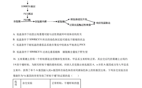 精品解析：广东省江门市2025-2026学年高三上学期调研测试生物试题A（原卷版）_251109广东省江门市2025-2026学年高三上学期11月调研测试（全科）
