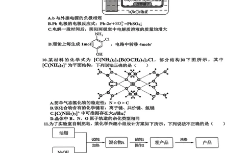 江西省新余市2024-2025学年高二下学期期末质量检测化学试卷（图片版，含答案）_2025年7月_250703江西省新余市2024-2025学年高二下学期期末质量检测（全科）