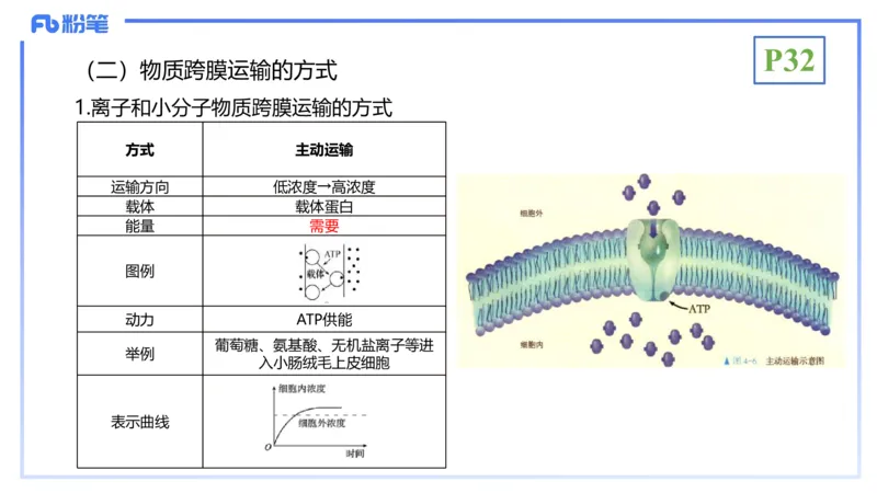 理论精讲05-细胞生物学2-拾光_4-教培资料-26年最新资料-同步更新_初中高中教资_03科三专项（进去保存报考的学科即可）_01科目三FB网课、三色速记手册、知识点导图等推荐_初中