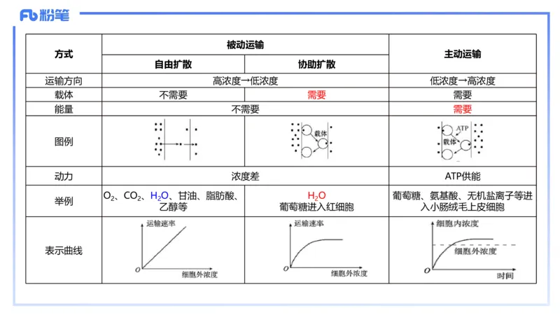 理论精讲05-细胞生物学2-拾光_4-教培资料-26年最新资料-同步更新_初中高中教资_03科三专项（进去保存报考的学科即可）_01科目三FB网课、三色速记手册、知识点导图等推荐_初中