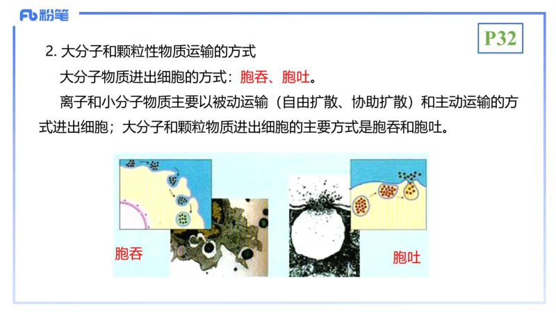 理论精讲05-细胞生物学2-拾光_4-教培资料-26年最新资料-同步更新_初中高中教资_03科三专项（进去保存报考的学科即可）_01科目三FB网课、三色速记手册、知识点导图等推荐_初中