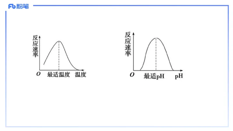 理论精讲05-细胞生物学2-拾光_4-教培资料-26年最新资料-同步更新_初中高中教资_03科三专项（进去保存报考的学科即可）_01科目三FB网课、三色速记手册、知识点导图等推荐_初中