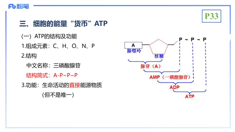 理论精讲05-细胞生物学2-拾光_4-教培资料-26年最新资料-同步更新_初中高中教资_03科三专项（进去保存报考的学科即可）_01科目三FB网课、三色速记手册、知识点导图等推荐_初中