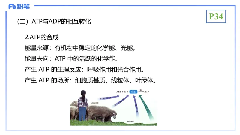 理论精讲05-细胞生物学2-拾光_4-教培资料-26年最新资料-同步更新_初中高中教资_03科三专项（进去保存报考的学科即可）_01科目三FB网课、三色速记手册、知识点导图等推荐_初中