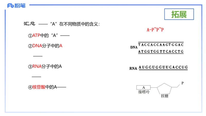 理论精讲05-细胞生物学2-拾光_4-教培资料-26年最新资料-同步更新_初中高中教资_03科三专项（进去保存报考的学科即可）_01科目三FB网课、三色速记手册、知识点导图等推荐_初中