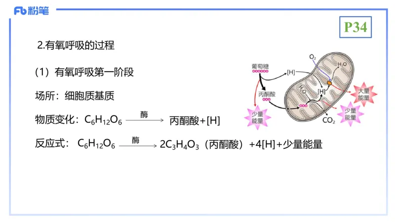 理论精讲05-细胞生物学2-拾光_4-教培资料-26年最新资料-同步更新_初中高中教资_03科三专项（进去保存报考的学科即可）_01科目三FB网课、三色速记手册、知识点导图等推荐_初中