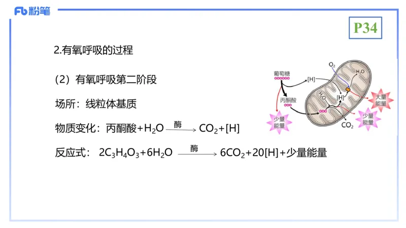 理论精讲05-细胞生物学2-拾光_4-教培资料-26年最新资料-同步更新_初中高中教资_03科三专项（进去保存报考的学科即可）_01科目三FB网课、三色速记手册、知识点导图等推荐_初中