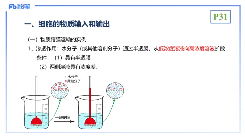 理论精讲05-细胞生物学2-拾光_4-教培资料-26年最新资料-同步更新_初中高中教资_03科三专项（进去保存报考的学科即可）_01科目三FB网课、三色速记手册、知识点导图等推荐_初中