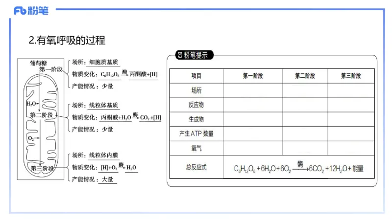 理论精讲05-细胞生物学2-拾光_4-教培资料-26年最新资料-同步更新_初中高中教资_03科三专项（进去保存报考的学科即可）_01科目三FB网课、三色速记手册、知识点导图等推荐_初中