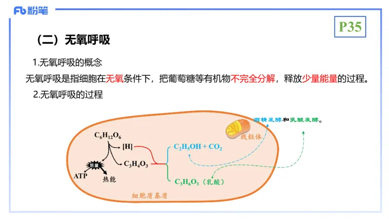 理论精讲05-细胞生物学2-拾光_4-教培资料-26年最新资料-同步更新_初中高中教资_03科三专项（进去保存报考的学科即可）_01科目三FB网课、三色速记手册、知识点导图等推荐_初中