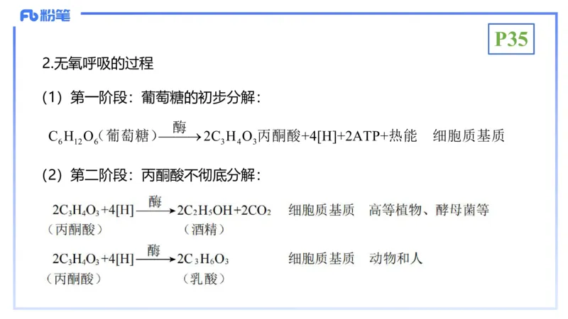 理论精讲05-细胞生物学2-拾光_4-教培资料-26年最新资料-同步更新_初中高中教资_03科三专项（进去保存报考的学科即可）_01科目三FB网课、三色速记手册、知识点导图等推荐_初中