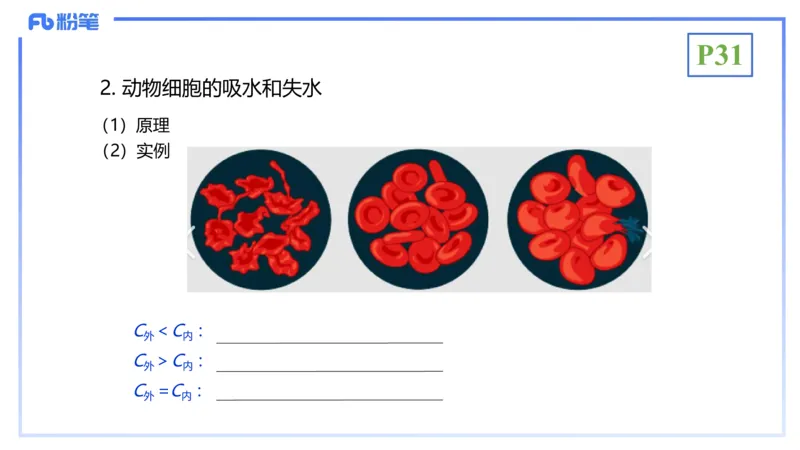 理论精讲05-细胞生物学2-拾光_4-教培资料-26年最新资料-同步更新_初中高中教资_03科三专项（进去保存报考的学科即可）_01科目三FB网课、三色速记手册、知识点导图等推荐_初中
