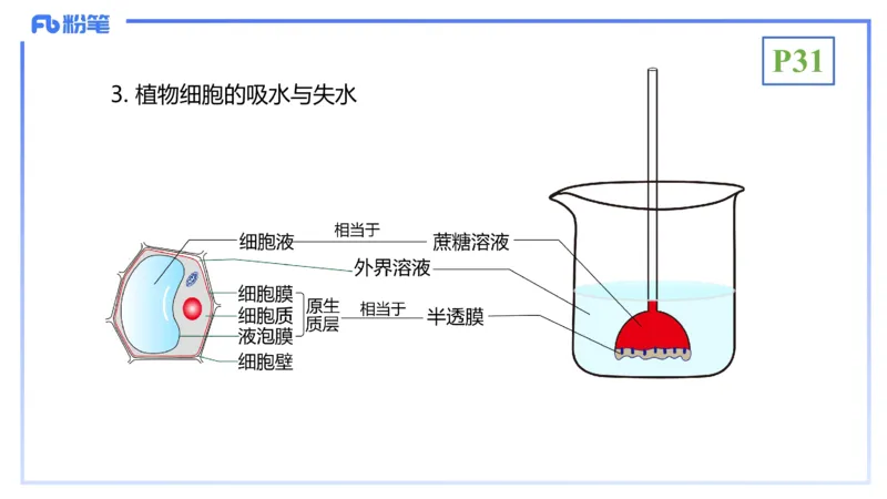 理论精讲05-细胞生物学2-拾光_4-教培资料-26年最新资料-同步更新_初中高中教资_03科三专项（进去保存报考的学科即可）_01科目三FB网课、三色速记手册、知识点导图等推荐_初中