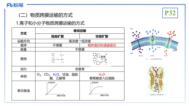 理论精讲05-细胞生物学2-拾光_4-教培资料-26年最新资料-同步更新_初中高中教资_03科三专项（进去保存报考的学科即可）_01科目三FB网课、三色速记手册、知识点导图等推荐_初中