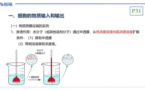 理论精讲05-细胞生物学2-拾光_4-教培资料-26年最新资料-同步更新_初中高中教资_03科三专项（进去保存报考的学科即可）_01科目三FB网课、三色速记手册、知识点导图等推荐_初中