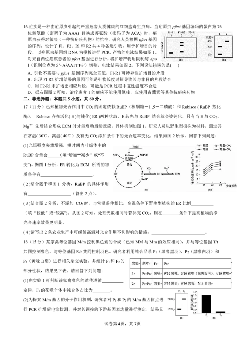 柳铁一中2025届高考适应性训练生物试卷_2025年6月_250603广西省柳铁一中2025届高考适应性训练（全科）