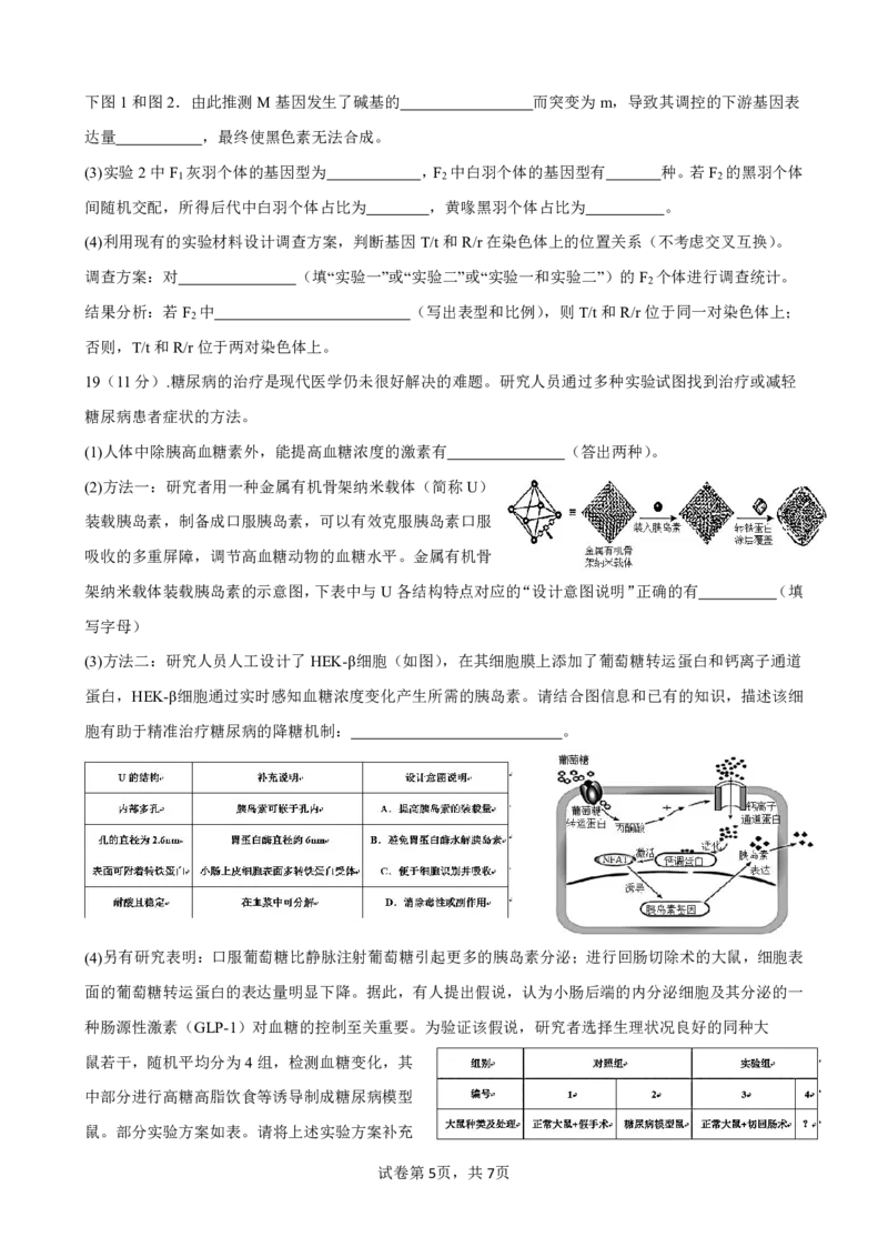 柳铁一中2025届高考适应性训练生物试卷_2025年6月_250603广西省柳铁一中2025届高考适应性训练（全科）