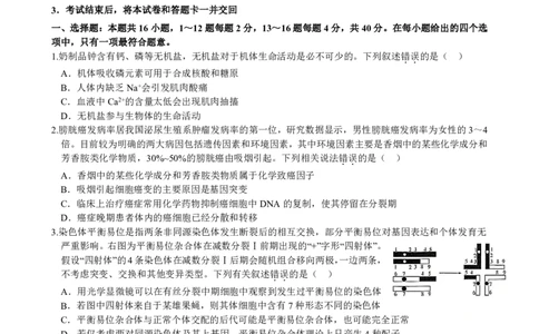 柳铁一中2025届高考适应性训练生物试卷_2025年6月_250603广西省柳铁一中2025届高考适应性训练（全科）