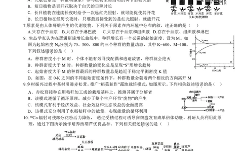 柳铁一中2025届高考适应性训练生物试卷_2025年6月_250603广西省柳铁一中2025届高考适应性训练（全科）