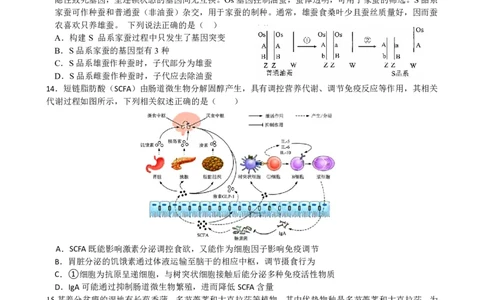 柳铁一中2025届高考适应性训练生物试卷_2025年6月_250603广西省柳铁一中2025届高考适应性训练（全科）
