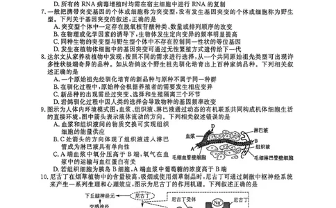 山东省大联考2025-2026学年高三上学期12月月考生物试题_2025年12月_251229山东省大联考2025-2026学年高三上学期12月月考（全科）