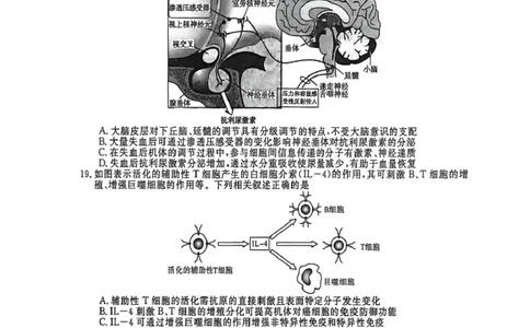 山东省大联考2025-2026学年高三上学期12月月考生物试题_2025年12月_251229山东省大联考2025-2026学年高三上学期12月月考（全科）