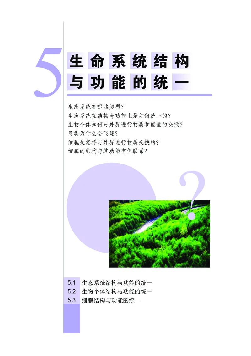 武汉版9年级科学上册高清教材_4-教培资料-26年最新资料-同步更新_初中高中教资_03科三专项（进去保存报考的学科即可）_02科三专项（笔记真题思维导图教学设计版本二）
