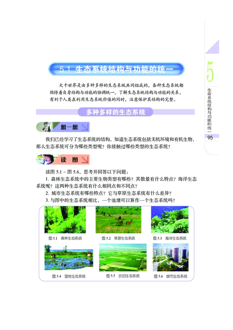 武汉版9年级科学上册高清教材_4-教培资料-26年最新资料-同步更新_初中高中教资_03科三专项（进去保存报考的学科即可）_02科三专项（笔记真题思维导图教学设计版本二）