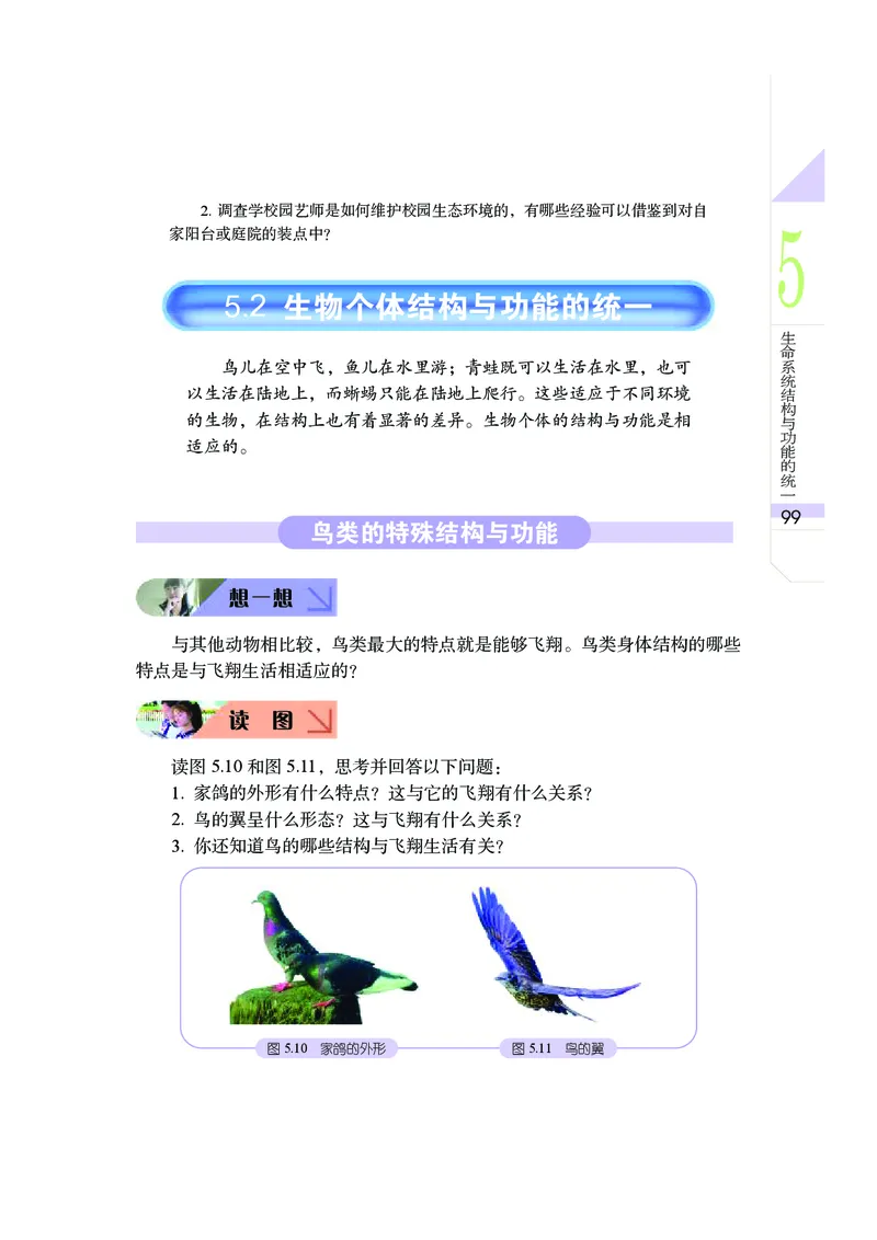 武汉版9年级科学上册高清教材_4-教培资料-26年最新资料-同步更新_初中高中教资_03科三专项（进去保存报考的学科即可）_02科三专项（笔记真题思维导图教学设计版本二）