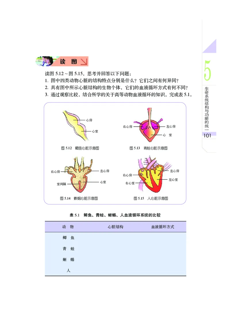 武汉版9年级科学上册高清教材_4-教培资料-26年最新资料-同步更新_初中高中教资_03科三专项（进去保存报考的学科即可）_02科三专项（笔记真题思维导图教学设计版本二）