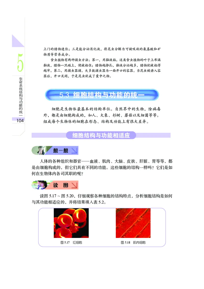 武汉版9年级科学上册高清教材_4-教培资料-26年最新资料-同步更新_初中高中教资_03科三专项（进去保存报考的学科即可）_02科三专项（笔记真题思维导图教学设计版本二）