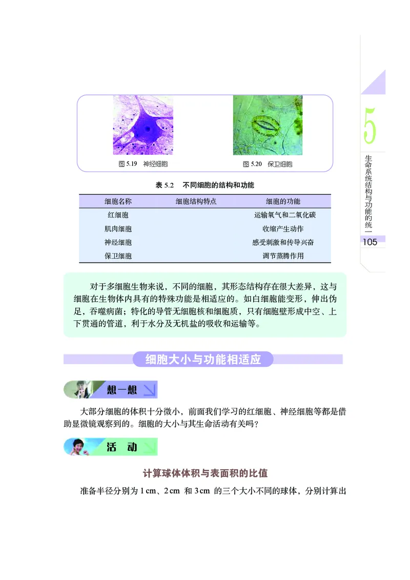武汉版9年级科学上册高清教材_4-教培资料-26年最新资料-同步更新_初中高中教资_03科三专项（进去保存报考的学科即可）_02科三专项（笔记真题思维导图教学设计版本二）