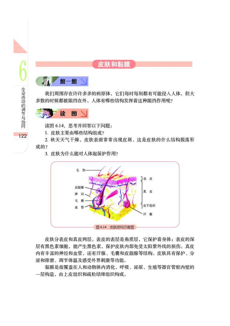 武汉版9年级科学上册高清教材_4-教培资料-26年最新资料-同步更新_初中高中教资_03科三专项（进去保存报考的学科即可）_02科三专项（笔记真题思维导图教学设计版本二）