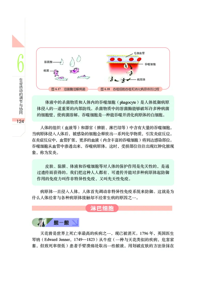 武汉版9年级科学上册高清教材_4-教培资料-26年最新资料-同步更新_初中高中教资_03科三专项（进去保存报考的学科即可）_02科三专项（笔记真题思维导图教学设计版本二）