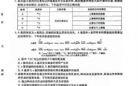 河北省2026届高三上学期12月联考（26-150C）生物_2025年12月_251225金太阳&middot;河北省2026届高三上学期12月联考（26-150C）（全科）