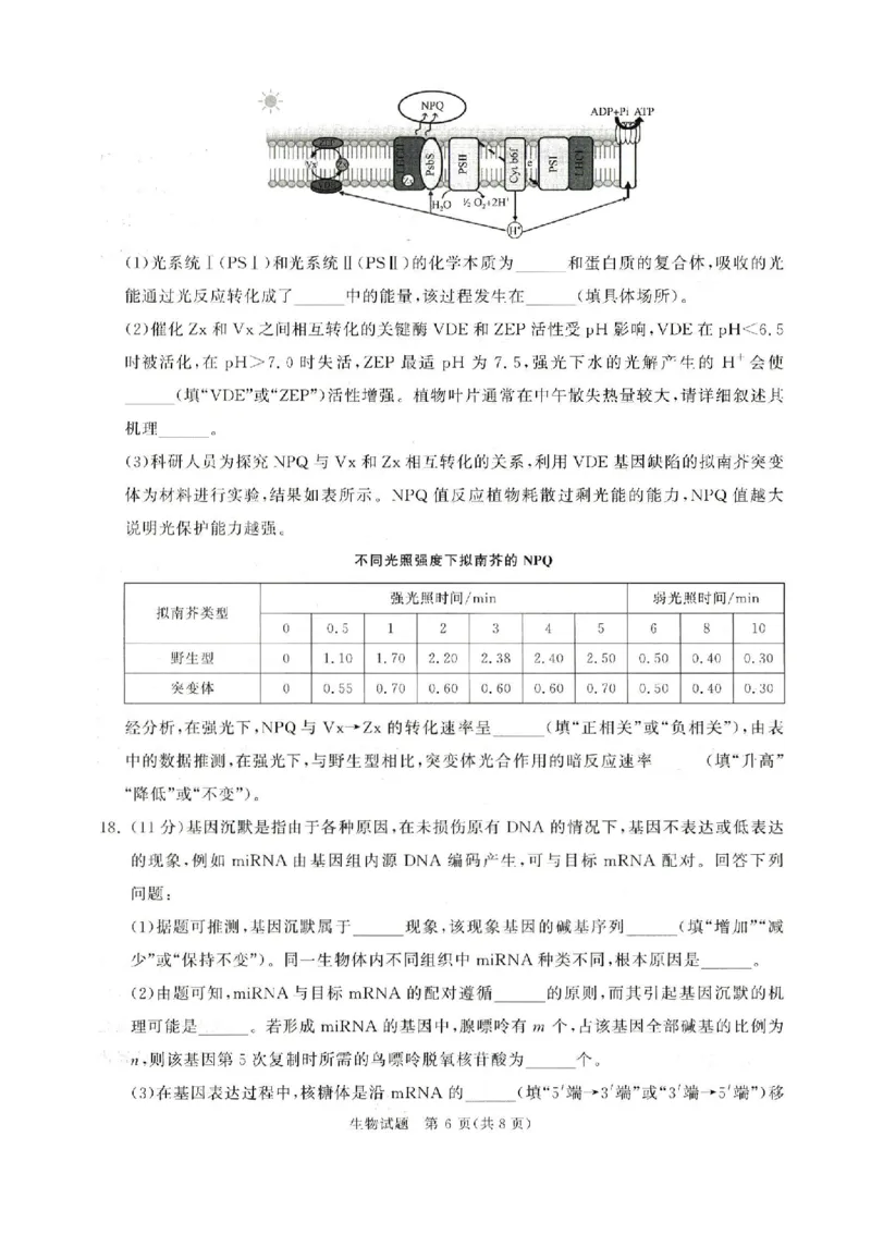 河南青桐鸣2026届高三上学期12月联考生物试卷+答案_2025年12月_251218河南高三青桐鸣大联考2025年12月联考