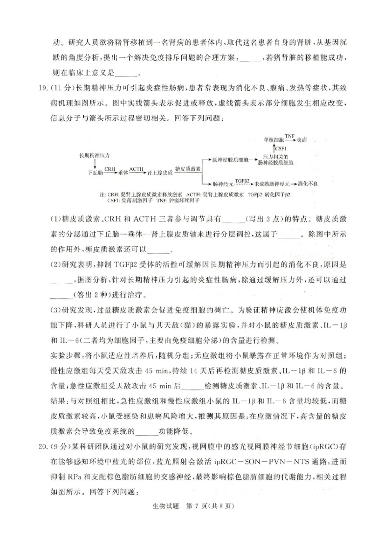 河南青桐鸣2026届高三上学期12月联考生物试卷+答案_2025年12月_251218河南高三青桐鸣大联考2025年12月联考