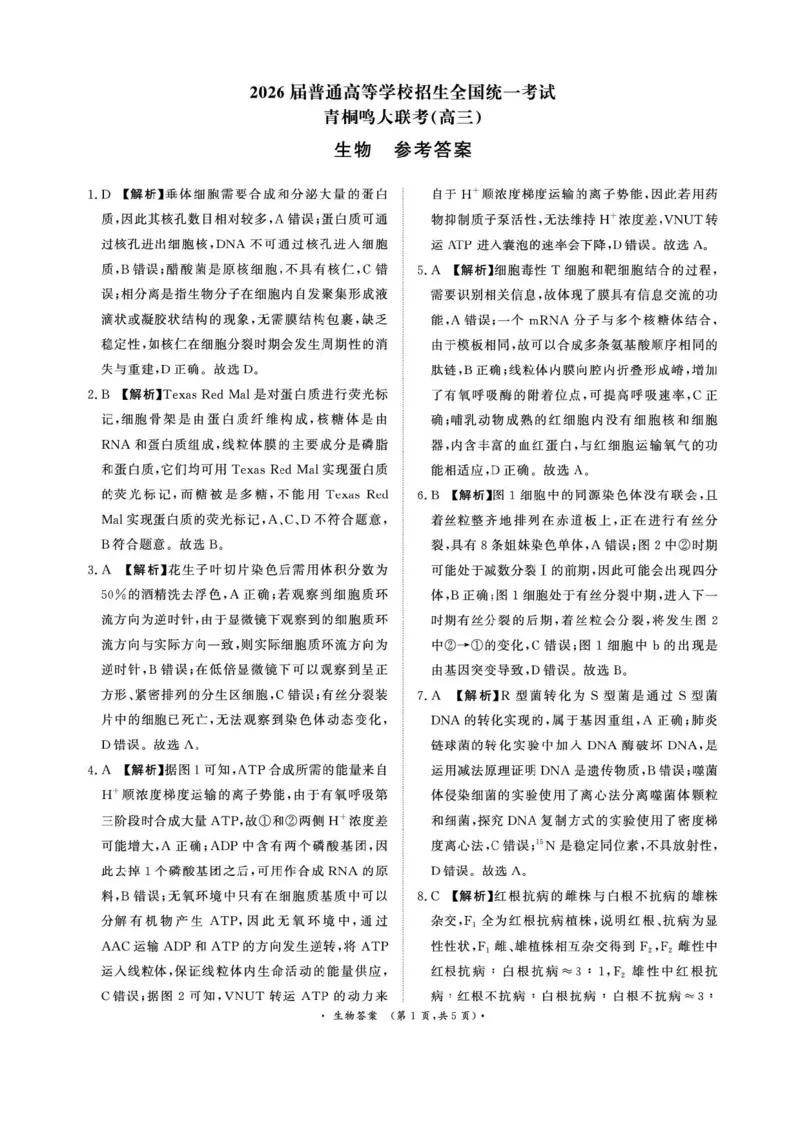 河南青桐鸣2026届高三上学期12月联考生物试卷+答案_2025年12月_251218河南高三青桐鸣大联考2025年12月联考
