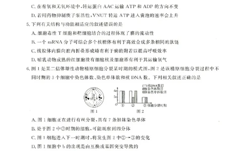 河南青桐鸣2026届高三上学期12月联考生物试卷+答案_2025年12月_251218河南高三青桐鸣大联考2025年12月联考