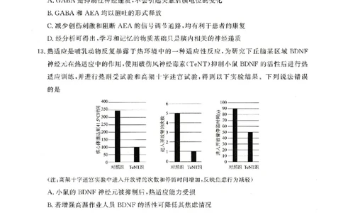 河南青桐鸣2026届高三上学期12月联考生物试卷+答案_2025年12月_251218河南高三青桐鸣大联考2025年12月联考