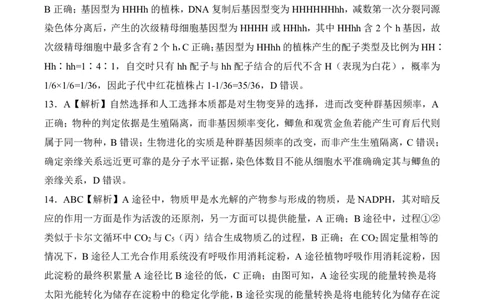 河北省邢台市卓越联盟2026届高三上学期12月联考生物答案（PDF版）_2025年12月_251206河北省邢台市卓越联盟2025-2026学年高三上学期12月联考（全科）