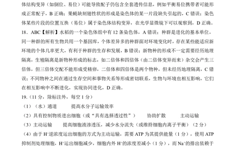 河北省邢台市卓越联盟2026届高三上学期12月联考生物答案（PDF版）_2025年12月_251206河北省邢台市卓越联盟2025-2026学年高三上学期12月联考（全科）