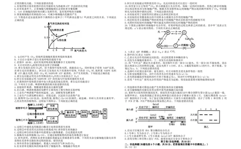 河南省郑州市2024-2025学年高二下学期期末生物试题_2025年7月_250702河南省郑州市2024-2025学年高二下学期期末考试_河南省郑州市2024&mdash;2025学年高二下学期期末考试生物试题