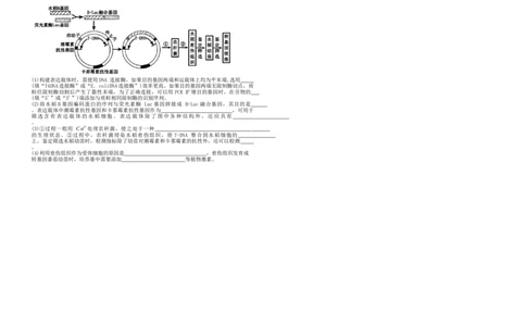 河南省郑州市2024-2025学年高二下学期期末生物试题_2025年7月_250702河南省郑州市2024-2025学年高二下学期期末考试_河南省郑州市2024&mdash;2025学年高二下学期期末考试生物试题