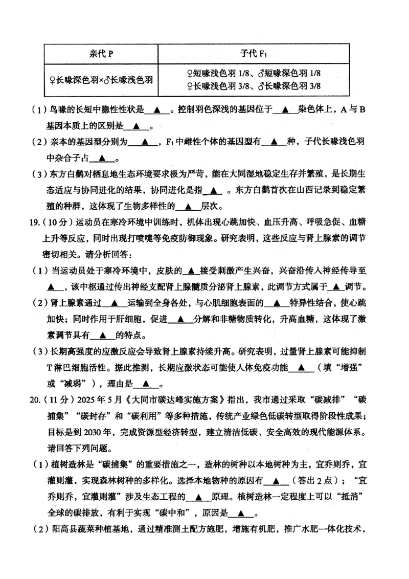 山西省大同市2026届高三上学期第一次学情调研教学质量监测（高二下学期期末）生物试题_2025年7月