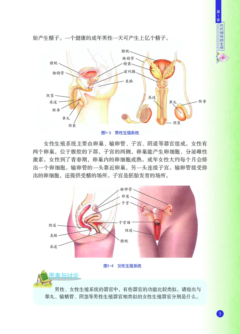 浙教版7年级科学下册高清教材_4-教培资料-26年最新资料-同步更新_初中高中教资_03科三专项（进去保存报考的学科即可）_02科三专项（笔记真题思维导图教学设计版本二）