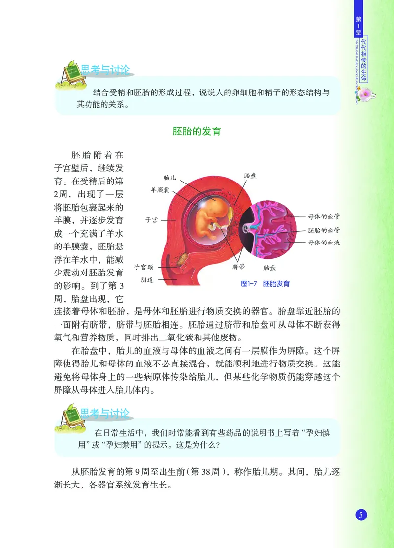 浙教版7年级科学下册高清教材_4-教培资料-26年最新资料-同步更新_初中高中教资_03科三专项（进去保存报考的学科即可）_02科三专项（笔记真题思维导图教学设计版本二）