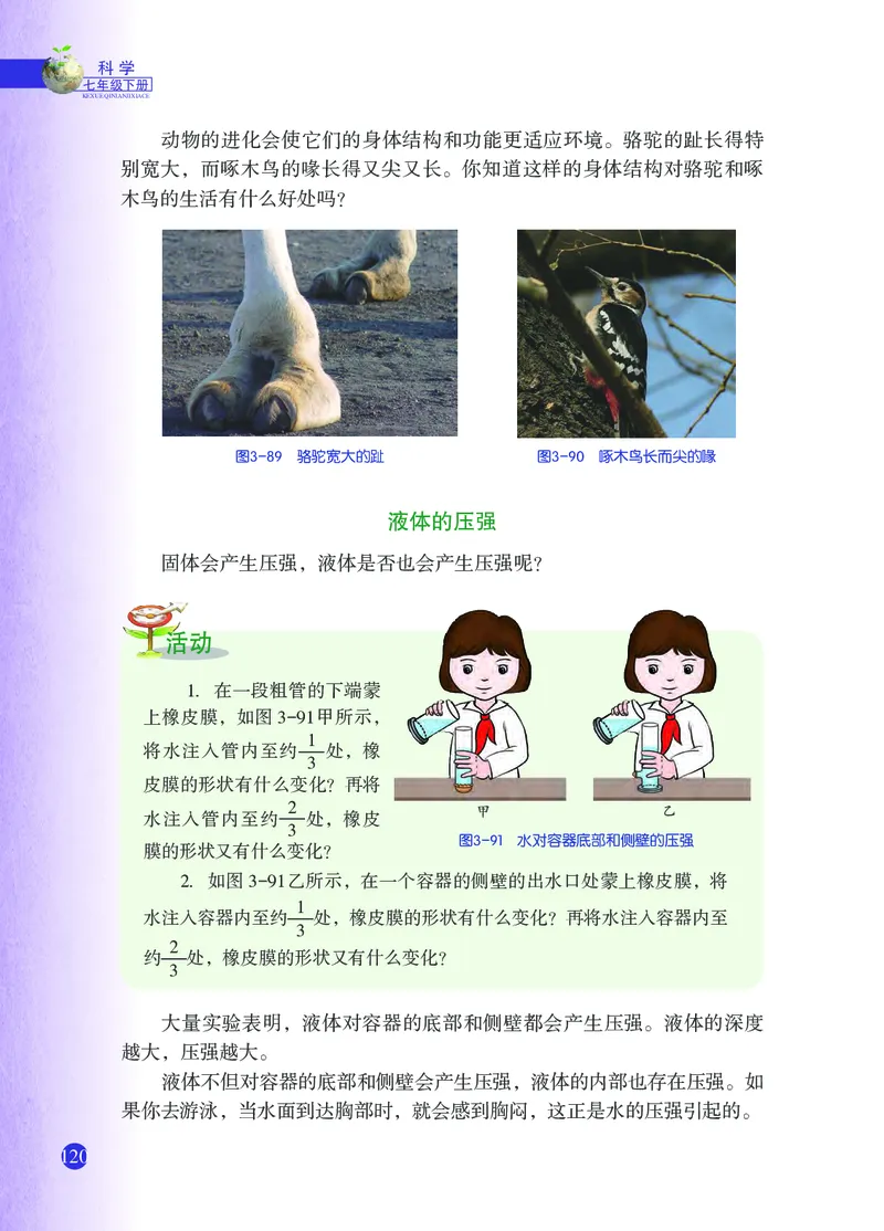 浙教版7年级科学下册高清教材_4-教培资料-26年最新资料-同步更新_初中高中教资_03科三专项（进去保存报考的学科即可）_02科三专项（笔记真题思维导图教学设计版本二）